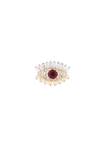 Wondering Eye Broche